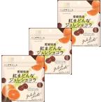 ニッポンエール愛媛県産紅まどんな ジュレショコラ 35g×3袋セット