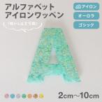 オーロラワッペン アルファベット2-10cm 名前や文字のアップリケ