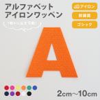 アイロンワッペン ひらがな2cm 名前や文字のアップリケ