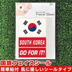 韓国 国旗 フェイスシール タトゥシール 【 ワールド