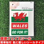 ウェールズ 国旗 フェイスシール タトゥシール 【 ウ