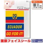 エクアドル共和国 国旗 フェイスシール タトゥシール 