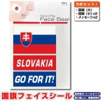 スロバキア共和国 国旗 フェイスシール タトゥシール 