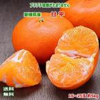 送料無料 愛媛県産 甘 平 かんぺい 16-25玉 約5kg かんぺいみかん 甘平 みかん 甘平 愛媛 みかん 甘 平 贈答用 ギフト 贈答 内祝い フルーツギフト