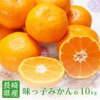 みかん 味っ子みかん 長崎 西海 2S 約10kg みかん 高糖度 みかん 小粒 みかん 小玉 ミカン 味っ子 西海 みかん