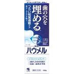 ハウメル 知覚過敏ケア 薬用ハミガキ 100g 歯の穴を埋める 小林製薬 【医薬部外品】 1個