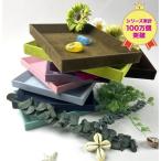  красочный tray кейс для украшений S размер 10color