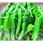  немного есть перевод десять тысяч . храм перец стручковый 1 kilo и больше пестициды не использование небо .... предмет префектура Аичи . корень . три . высота . производство 