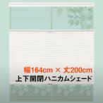 (コードレス) 上下開閉可能 トップダウン ハニカム シェード 採光 規格品 横幅164cm×高さ200cm