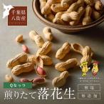 [ Chiba префектура . улица производство 100%] арахис Q орехи [440g](220g2 пакет ) Chiba префектура производство без добавок нет окраска несоленый . улица город орехи Peanuts 