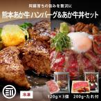 ショッピングハンバーグ ハンバーグ (120gx3個) & あか牛丼 (200g・たれ付) セット 肉工房三協 熊本 あか牛 冷凍 牛丼 和牛 熊本和牛 赤牛 ギフト 前田家