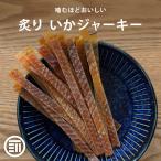 前田家 いかジャーキー 250g するめ