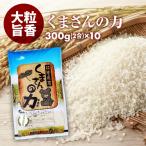 無洗米 小分けパック お 米 新鮮 長持ち 食味ランク特A くまさんの力 2合 10パック　平成29年産 精米　福岡県産