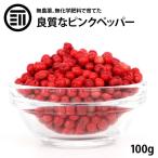 こしょう ピンクペッパー ホール 100g スパイス ハーブ マダガスカル産 前田家 希少 最高品質 無農薬 無化学肥料 胡椒 香辛料