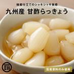 プレミアム 国産 らっきょう 宮崎県産 甘酢 らっきょう 150g×4 蜂蜜入り 着色料無添加 保存料不使用 カレー チャーハン おつまみ に