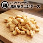 おつまみ 焼きチーズ スナック 100g 前田家 国内製造 こんがり おやつ ポリポリ おいしい チーズ タラ スケトウダラ