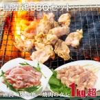 国産鶏BBQセット[4〜5人