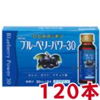 newブルーベリーパワー30 120本 大協薬品 ブルーベリーパワー