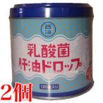 乳酸菌 肝油ドロップ 120粒 2個 西海製薬 肝油ドロップ（オレンジ風味）