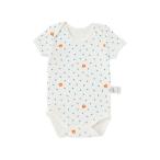 ¡Ú¥ß¥¥Ï¥¦¥¹¥Û¥Ã¥È¥Ó¥¹¥±¥Ã¥Ä¡Û¥Ü¥Ç¥£¥·¥ã¥Ä