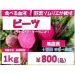 Yahoo! Yahoo!ショッピング(ヤフー ショッピング)　西洋野菜 ビーツ　1ｋg　無農薬野菜　野菜ソムリエが栽培　ふぞろい  令和2年産　青森産　テーブルビート　農園直送
