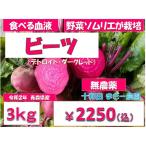 Yahoo! Yahoo!ショッピング(ヤフー ショッピング)　西洋野菜 ビーツ　３ｋg　無農薬野菜　野菜ソムリエが栽培　ふぞろい  令和２年産　青森産　テーブルビート　農園直送
