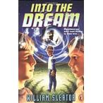 Into the Dream (Paperback)