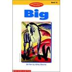 Big (Paperback)