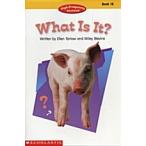 What Is It? (Paperback)