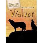 The Secret Lives of Wolves (Library Binding)