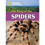 King of the Spiders (Paperback)