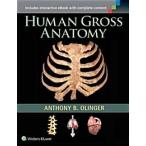 Human Gross Anatomy (Paperback)