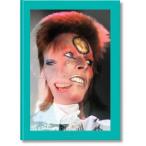 Mick Rock. the Rise of David Bowie. 1972-1973 (Hardcover)