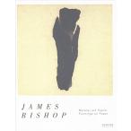 James Bishop: Paintings on Paper Malerei Auf Papier (Hardcover)