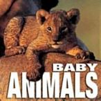 ショッピングｈｅａｒｔｗａｒｍｉｎｇ Baby Animals (Hardcover)