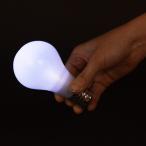 手品・マジック E5613 新 魔法の電球