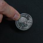  фокус * Magic монета Perfect Vanish O2023