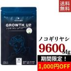 ノコギリヤシ 亜鉛 サプリメント REGNOS レグノス 9,600mg ケラチン ヒハツ 60粒 リジン ミレットエキス 日本製