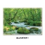 お風呂ポスター 奥入瀬渓流 マグネットシ