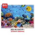 ショッピングポスター 大きいお風呂ポスター アクアリウム マグネットシート製 宅配便送料無料