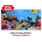  большой широкий ванна постер аквариум магнит сиденье производства экспресс доставка курьером бесплатный 