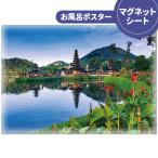 �����C�|�X�^�[ �o���� �}�O�l�b�g�V�[�g�� ��z�֌���