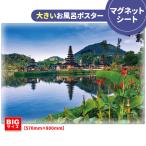 �傫�������C�|�X�^�[ �o���� �}�O�l�b�g�V�[�g�� ��z�֑�������