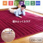 洗える ラグ ラグマット 230×320 6畳 極厚 厚み 2.5cm 滑り止め すべりどめ おしゃれ カーペット あったか ふかふか 暖かい