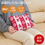 ショッピングゆたんぽ お湯のいらない 蓄熱湯たんぽ 27×19×15 湯たんぽ 北欧 ノルディック柄 カバー ゆたんぽ 蓄熱式