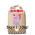 お米 10kg 5kg×2 大分県玖珠九重ひとめぼれ 令和５年産 新米 送料無料 減農薬特裁米 食味値NO1