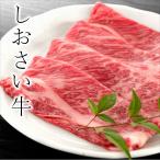 牛肉 お歳暮 牛肩ロース 1kg 霜降り 