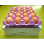 [ бесплатная доставка ] Hokkaido * Okinawa отдельный 500 иен .... Tama .20 шт M~L размер 