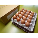 【送料無料】北海道・沖縄別途５００円 まごころたまご 40個　M〜Lサイズ