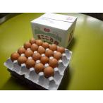 [ бесплатная доставка ] Hokkaido * Okinawa отдельный 500 иен .... Tama .60 шт M~L размер 